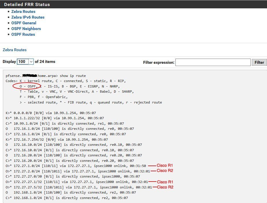 ospf-ovw