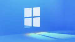 Windows 11