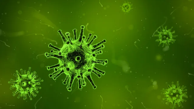 Virus