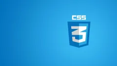 CSS